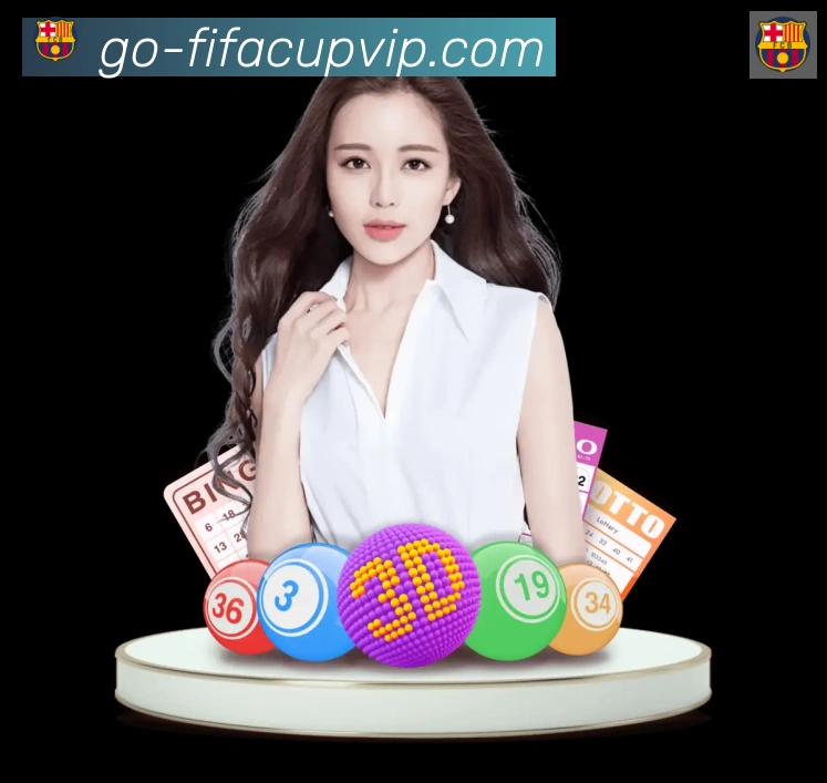 未来规划